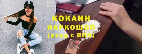 индика Сафоново