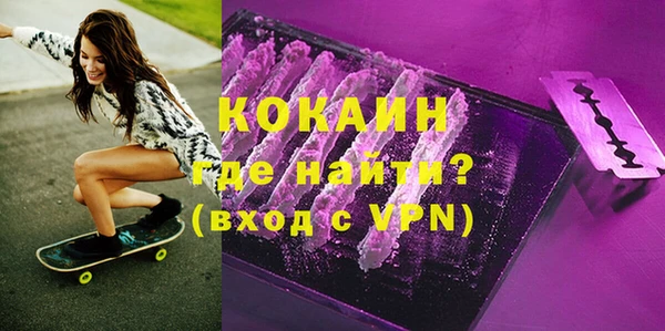 индика Сафоново