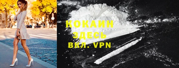 индика Сафоново