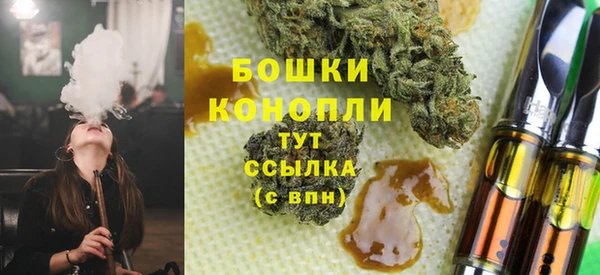 индика Сафоново