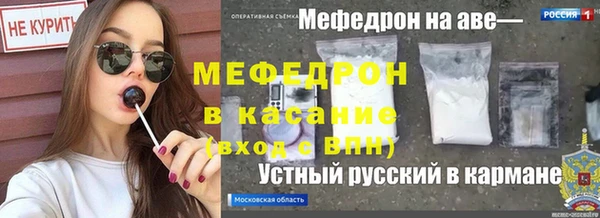 индика Сафоново
