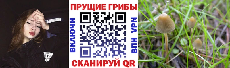 Псилоцибиновые грибы ЛСД  Кудымкар 