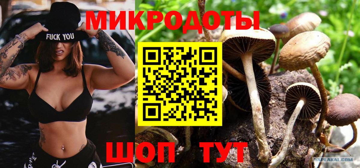 Галлюциногенные грибы MAGIC MUSHROOMS Кудымкар