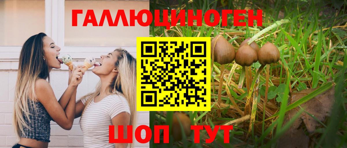 Псилоцибиновые грибы мицелий  наркота  Кудымкар  Вход с VPN  Псилоцибиновые грибы Cubensis 